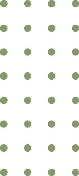 Buy Plant Online in Pakistan