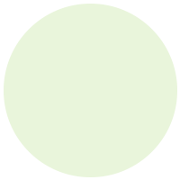 Buy Plant Online in Pakistan